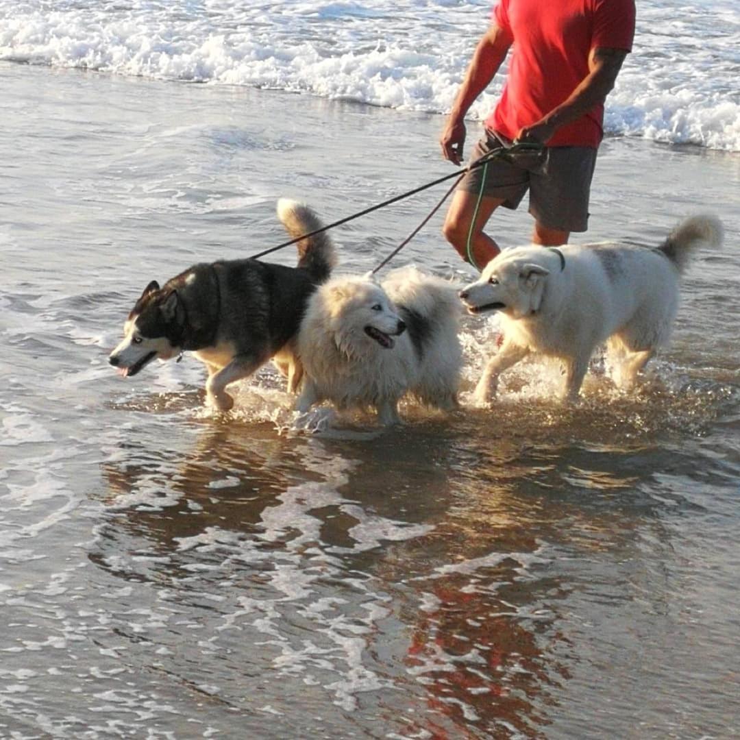 Jojo'S Bnb Mossel Bay Ngoại thất bức ảnh