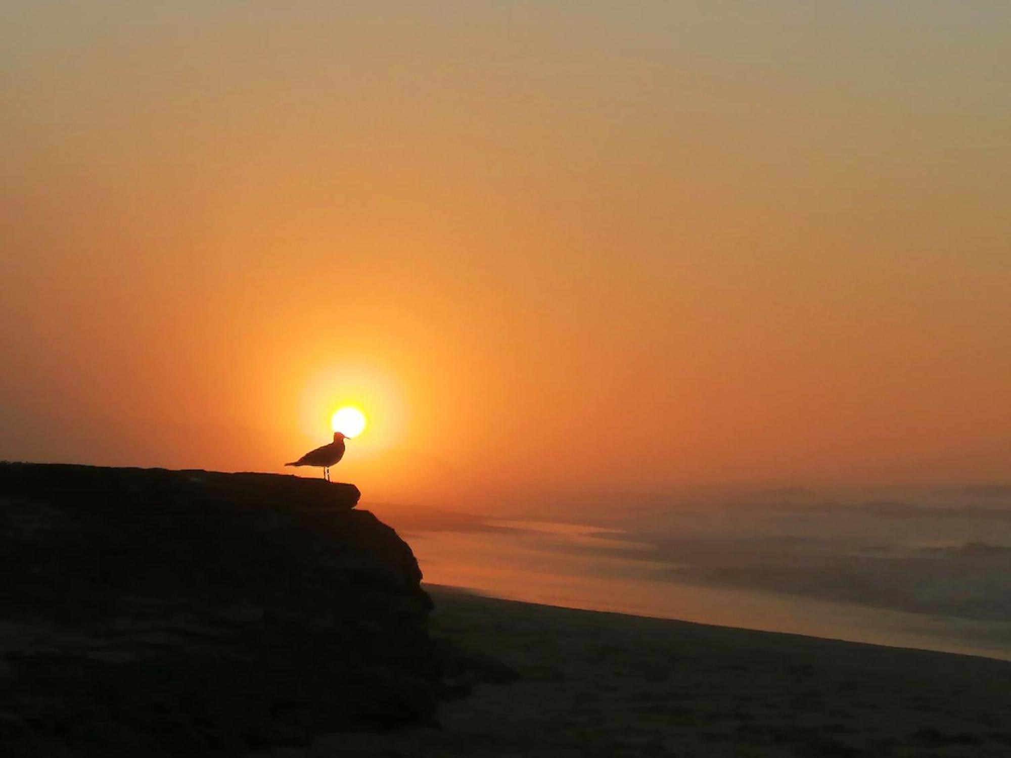 Jojo'S Bnb Mossel Bay Ngoại thất bức ảnh
