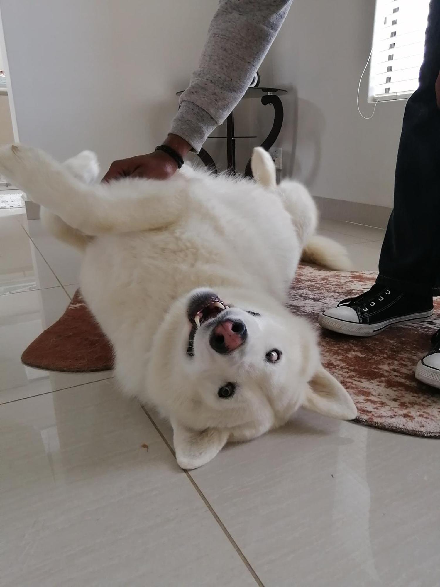 Jojo'S Bnb Mossel Bay Ngoại thất bức ảnh
