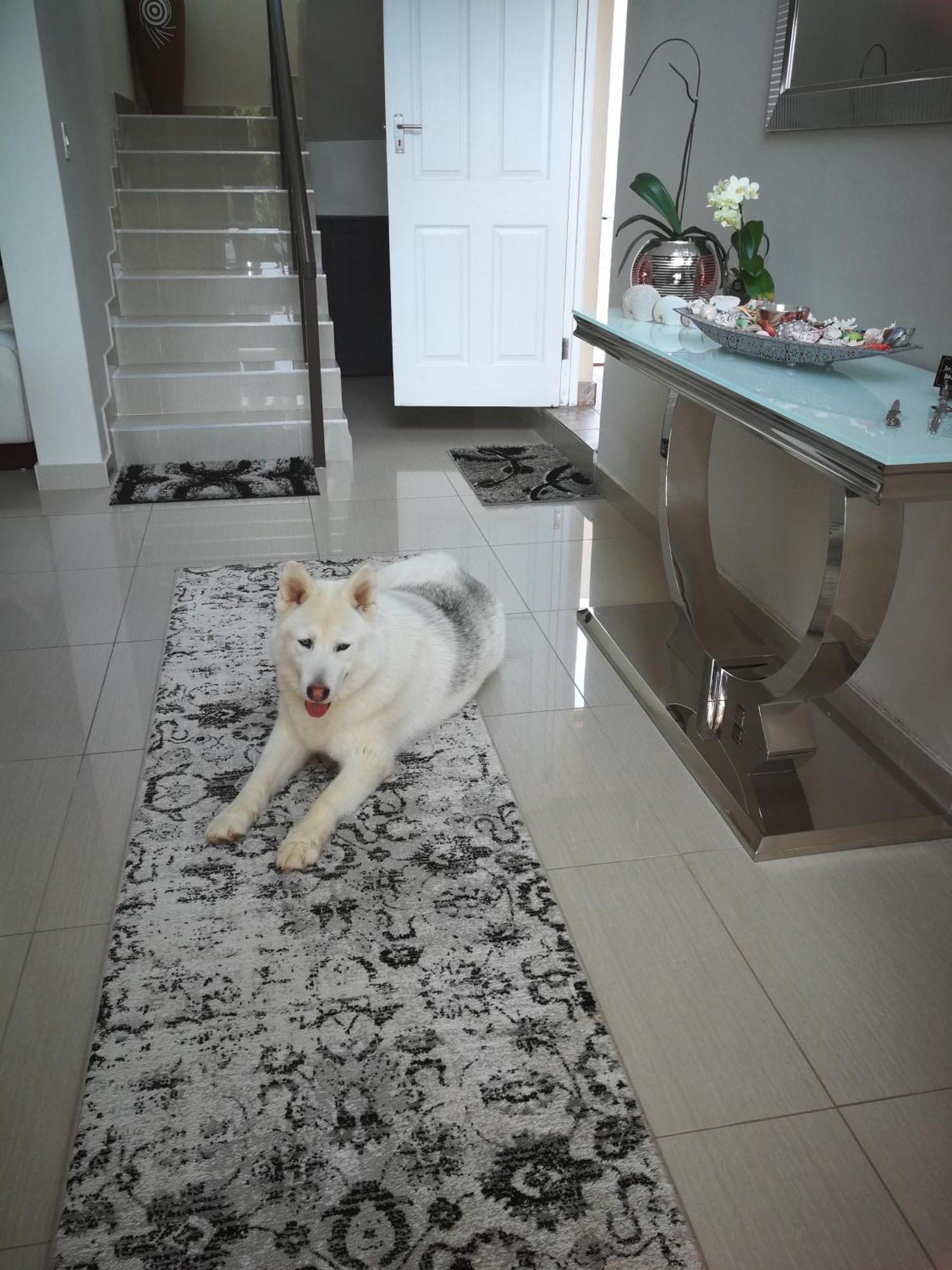 Jojo'S Bnb Mossel Bay Ngoại thất bức ảnh